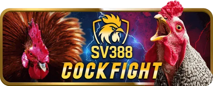 Chiến thuật bắn cá hiệu quả tại x1vn win